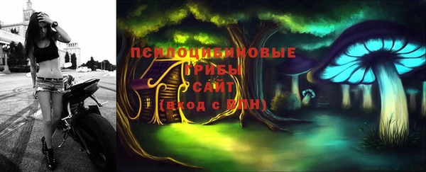 мдпв Киреевск